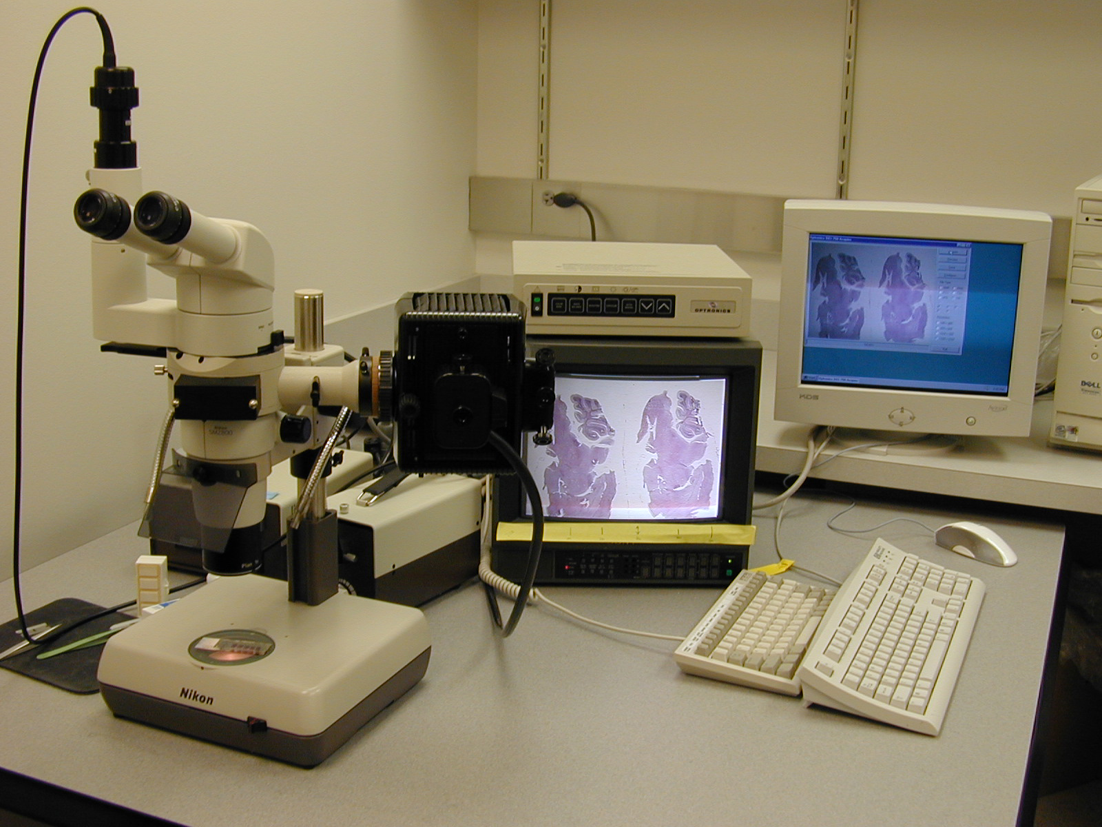 Stereo Fluorescence Microscope