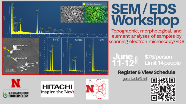 Microscopy Workshop Flyer June 2025