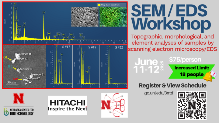 Microscopy Workshop Flyer June 2025