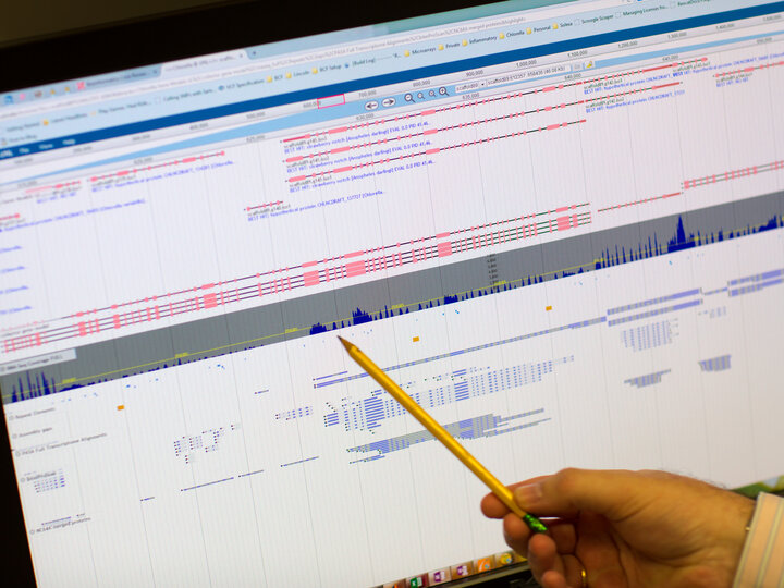 Pencil point at data for Bioinformatics 