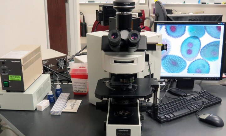A microscope with attached monitor.