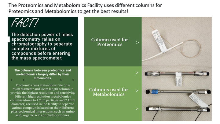 Columns Used for Proteomics and Metabolomics Work 