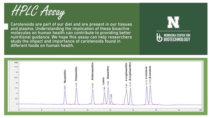 HPLC Assay Graph 